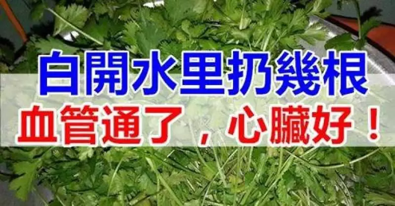 白開水裡扔幾根,血管通暢,心臟好,血栓躲著跑(很難得)