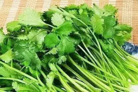 白開水裡扔幾根,血管通暢,心臟好,血栓躲著跑(很難得)