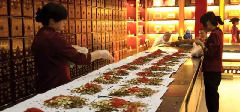 「黑面將軍」是一種神奇藥草!適量服用,可治療子宮肌瘤、癌症、糖尿病和結石症等病症。