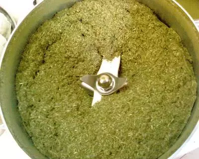 「黑面將軍」是一種神奇藥草!適量服用,可治療子宮肌瘤、癌症、糖尿病和結石症等病症。