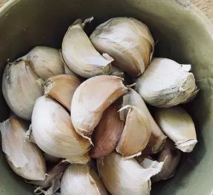 6種「換血食物」,每天吃1次,血液年輕1年!