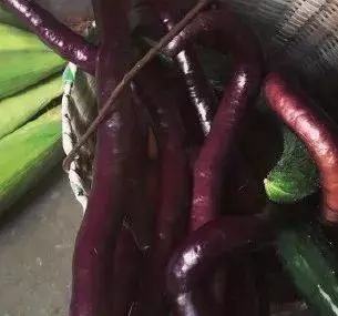 6種「換血食物」,每天吃1次,血液年輕1年!