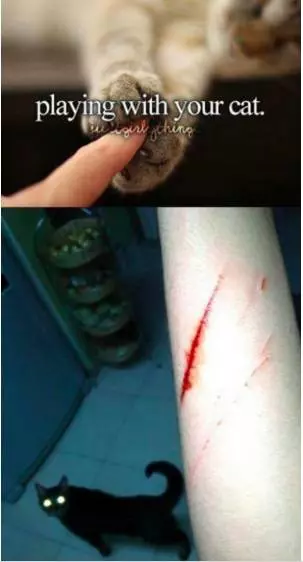 15張會讓你真正感受到現實有多殘酷的超殘忍照片...