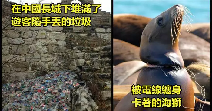 15張證明人類絕對是「地球上最自私的生物」的可悲照片
