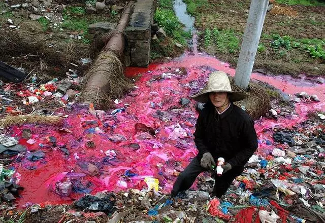 15張證明人類絕對是「地球上最自私的生物」的可悲照片