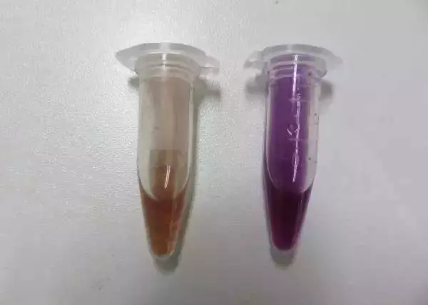 你吃的是枸杞還是毒藥,做個實驗來看看