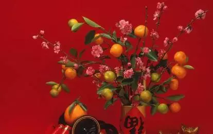 11月中旬運勢上上吉,喜事連綿不絕,生活幸福美滿的5大生肖!