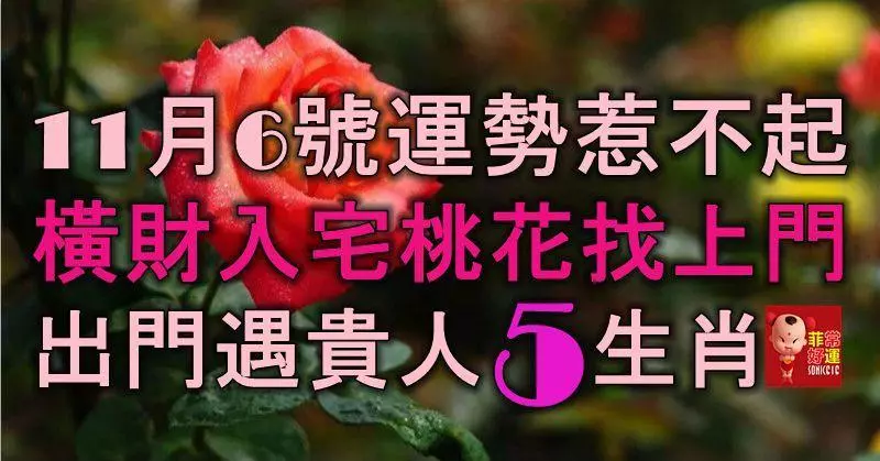 11月6號運勢惹不起,橫財入宅,桃花找上門,出門遇貴人的5大生肖!