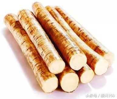 婆婆家門前種的「大草」,用它泡茶能降血糖,婆婆一年得喝一大棵呢