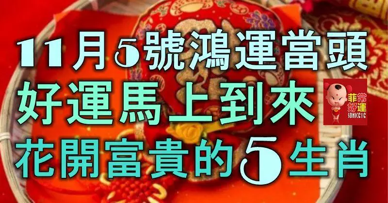11月5號鴻運當頭,好運馬上到來,花開富貴的5生肖!