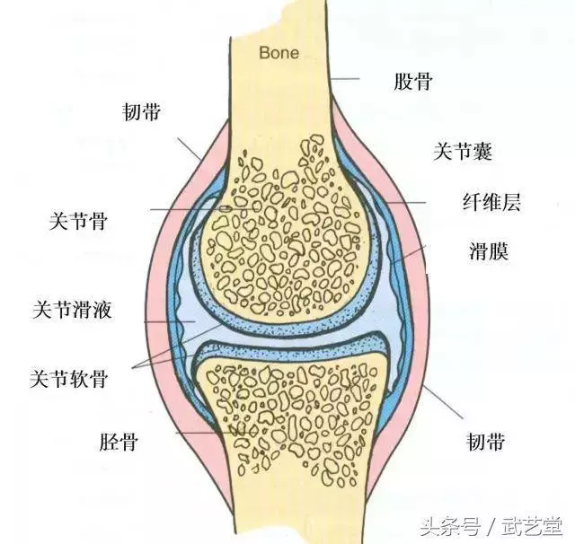 膝蓋痠痛,一把香菜加生薑,膝蓋再也不疼了,爬樓梯也不怕了