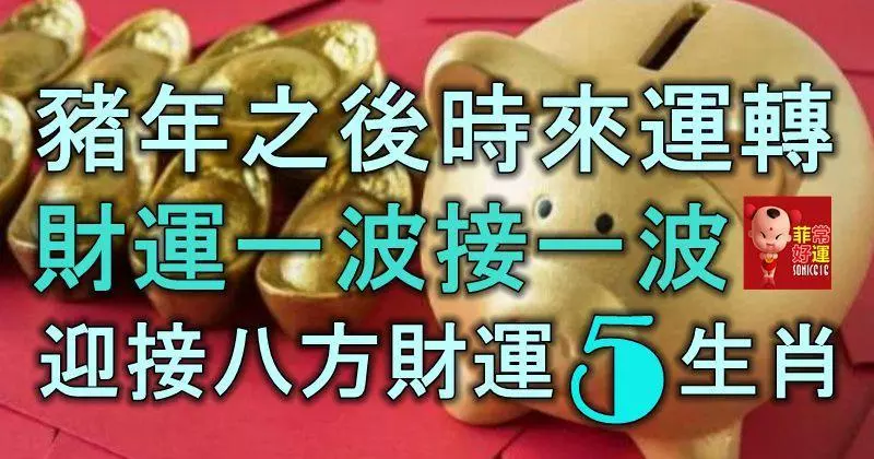 豬年之後時來運轉,財運一波接一波,迎接八方財運的5大生肖!
