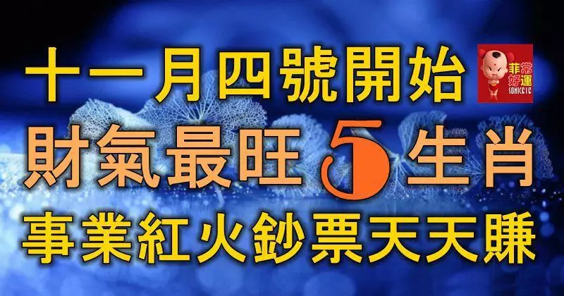十一月四號開始,財氣最旺的5生肖,事業紅火,鈔票天天賺!