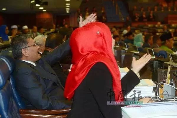 林冠英說出這番話打臉反對黨 議員們聽了都拍桌叫好!【內有視頻】