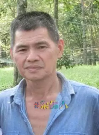 拉美士草叢發現大蟒蛇 4消拯員2民眾聯手捕捉