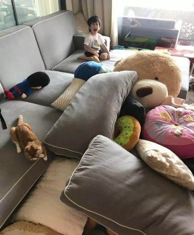 林志穎深夜吐槽三個兒子太調皮,家裡一片狼藉,網友:不是擺拍!
