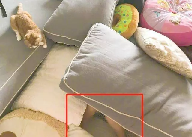 林志穎深夜吐槽三個兒子太調皮,家裡一片狼藉,網友:不是擺拍!