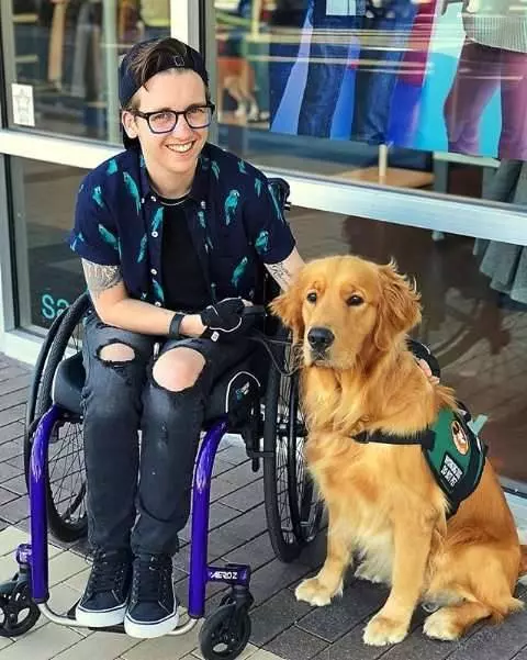 服務犬金金看到最愛的布魯托「變好大」 秒衝過去互動把網友萌翻