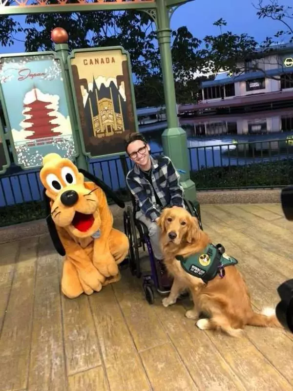 服務犬金金看到最愛的布魯托「變好大」 秒衝過去互動把網友萌翻