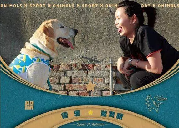台灣羽球女神 戴資穎的六個小秘密