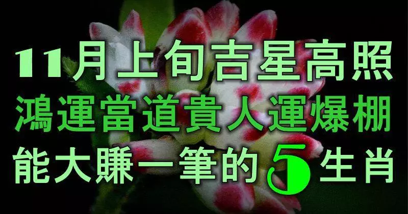 11月上旬吉星高照,鴻運當道,貴人運爆棚,能大賺一筆的5大生肖!