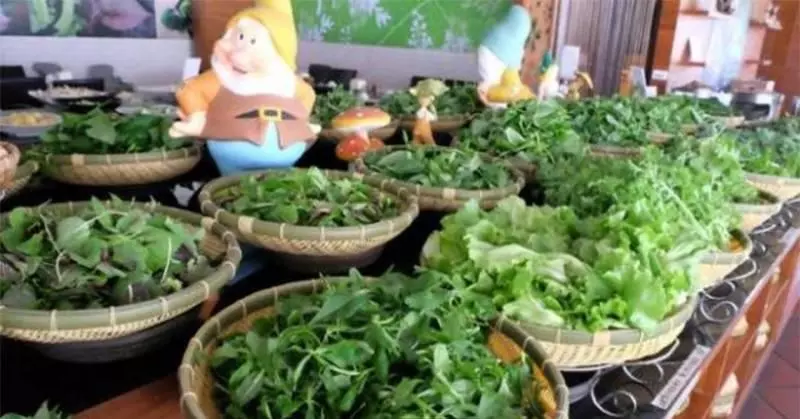 7 年前她得了「癌症」超想死,靠「吃野菜」恢復健康!野菜竟然有「這種功效」...她怒開火鍋店,讓客人吃草吃到飽!!!