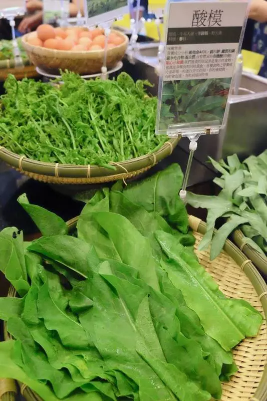 7 年前她得了「癌症」超想死,靠「吃野菜」恢復健康!野菜竟然有「這種功效」...她怒開火鍋店,讓客人吃草吃到飽!!!