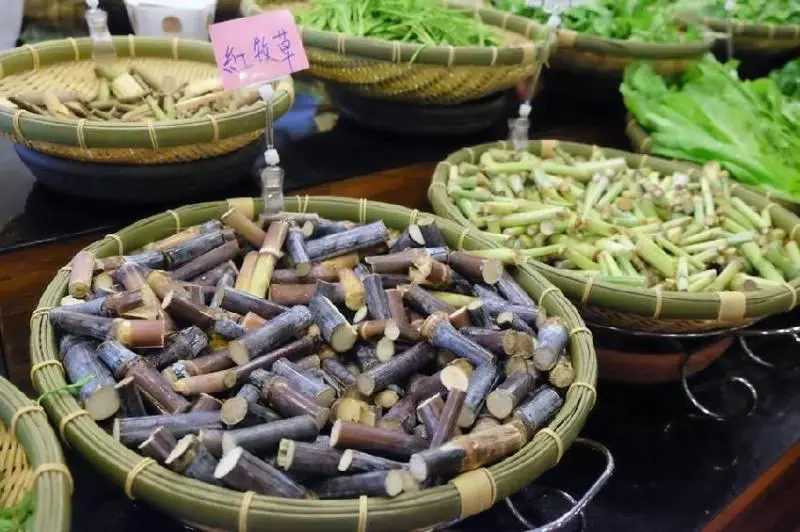 7 年前她得了「癌症」超想死,靠「吃野菜」恢復健康!野菜竟然有「這種功效」...她怒開火鍋店,讓客人吃草吃到飽!!!