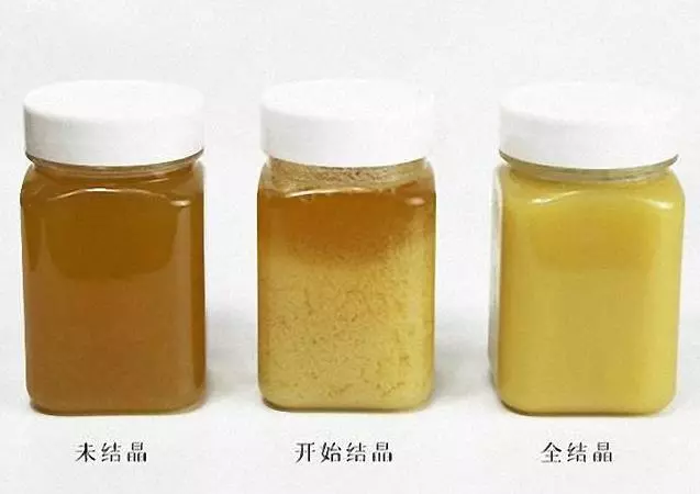 80 歲 老 蜂 農 教 你 一 杯 「 清 水 」 快 速 辨 別 真 假 蜂 蜜 !非常實用,不信試一試~