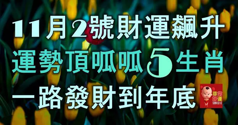 11月2號財運飆升,運勢頂呱呱的5生肖,一路發財到年底!