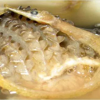 廣東30款靚湯,喜歡喝湯的朋友可以收藏!
