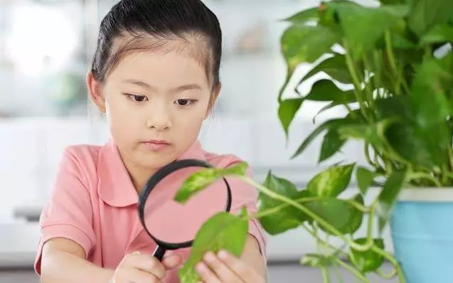 6歲的孩子如何鍛煉口才,3到6歲口才語言訓練(建議收藏)
