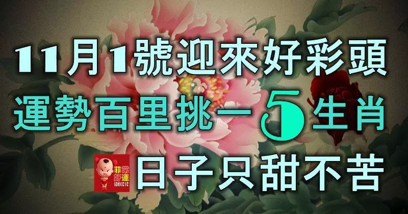 11月1號迎來好彩頭,運勢百里挑一的5大生肖,日子只甜不苦!