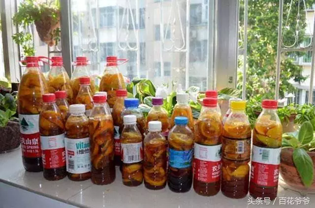 水果皮不再扔了,用來做酵素,養花不生蟲,製作方法簡單