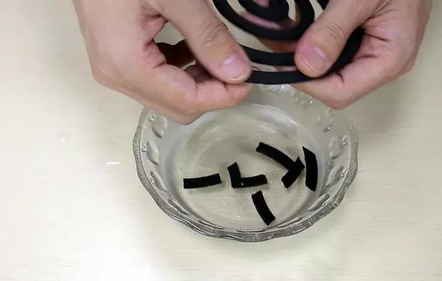 把蚊香放在水裡,輕鬆防蚊子