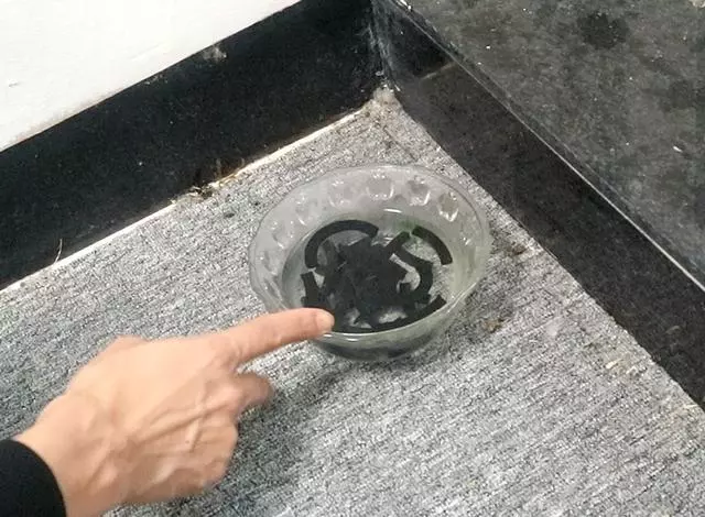 把蚊香放在水裡,輕鬆防蚊子