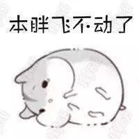 開心一笑:10條幽默笑話,包你好笑...哈哈哈