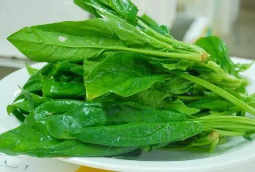 幫助孩子長高的13種食物!