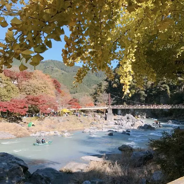 東京世外桃源【奧多摩】(OKUTAMA)賞楓一日遊提案
