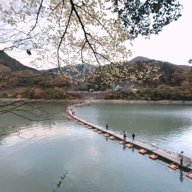 東京世外桃源【奧多摩】(OKUTAMA)賞楓一日遊提案