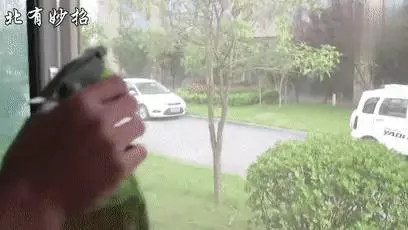 家裡的紗窗髒了不用拆下來洗,用些這個擦,灰塵自己掉下來!