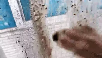 家裡的紗窗髒了不用拆下來洗,用些這個擦,灰塵自己掉下來!