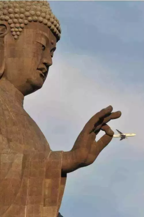 最牛的照片,是你一定會看錯的照片