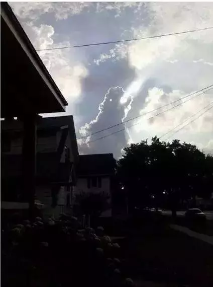 最牛的照片,是你一定會看錯的照片