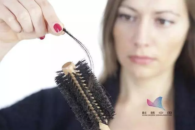 一天掉多少根頭髮算脫髮?別慌,科學解釋來了