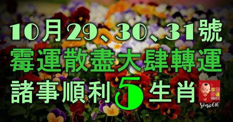 10月29、30、31號霉運散盡,大肆轉運,諸事順利,成功有望的5大生肖!