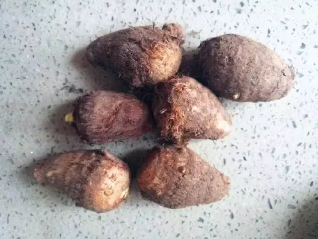 秋食芋頭,勝過「烏髮劑」,還可以健牙護齒,教你做最好吃的芋頭