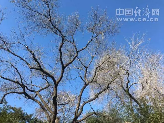 孩子,我不欠你的!震撼無數中國父母,一點不同的教育,結果大大不同