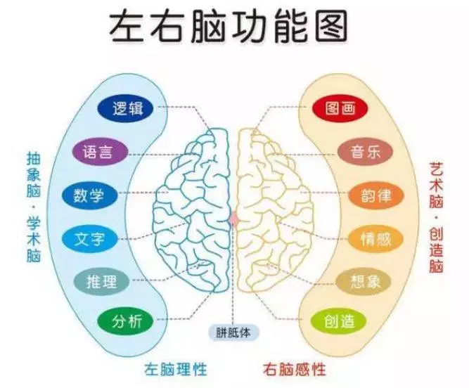 寶寶左撇子會更聰明?到底要不要糾正寶寶用左手?(附左右腦測試)