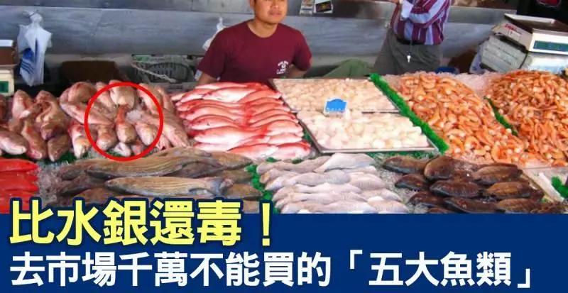 婆婆媽媽別再被價錢騙了!去市場絕對不能買的「六種魚產」,比吃水銀還「毒」